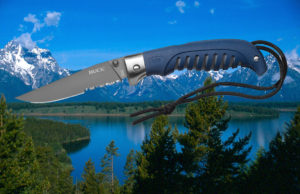 Buck Knives Silver Creek Fillet Knife 6