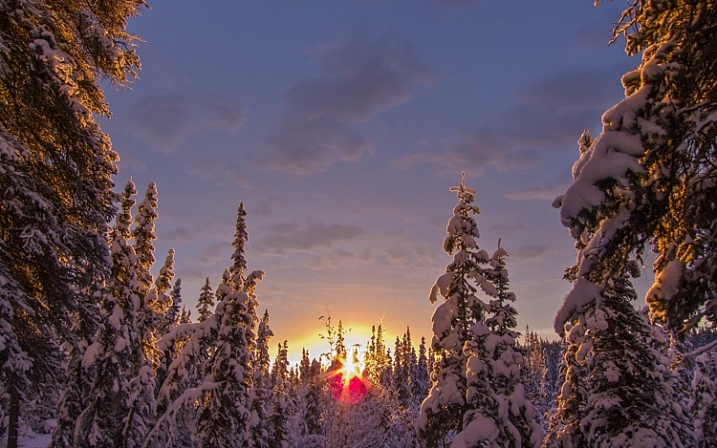 Mid-day, mid-winter, Alaska light. It just doesn't get any better.