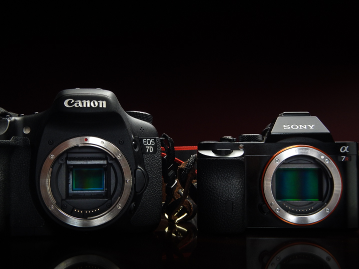 Cameras sony canon which camera is best for you